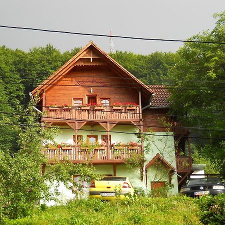 Vila Anna Sovata Luaran gambar