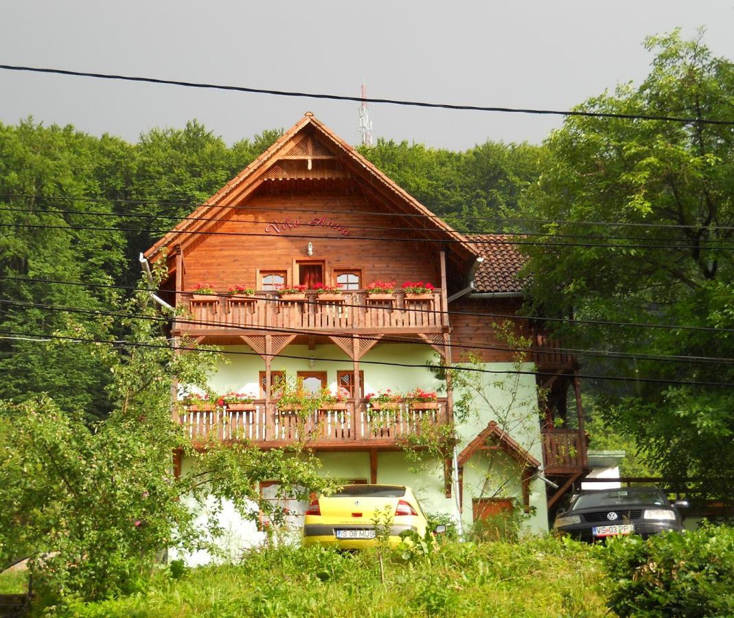 Vila Anna Sovata Luaran gambar