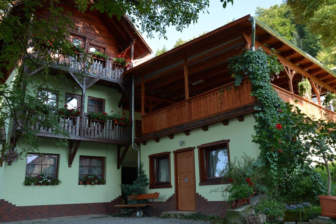 Vila Anna Sovata Luaran gambar