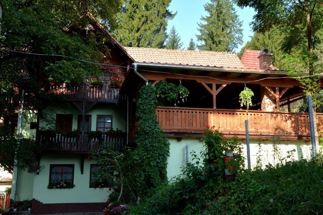 Vila Anna Sovata Luaran gambar